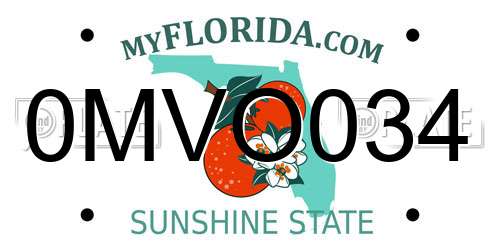 0MVO034 Florida License Plate