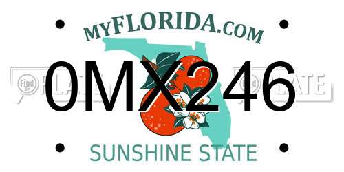 0MX246 Florida License Plate