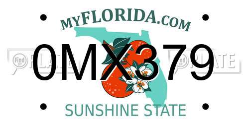 0MX379 Florida License Plate