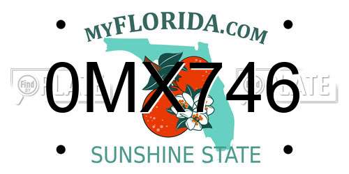 0MX746 Florida License Plate