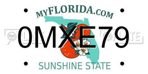 0MXE79 Florida License Plate