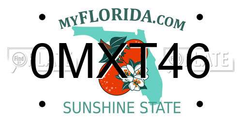 0MXT46 Florida License Plate