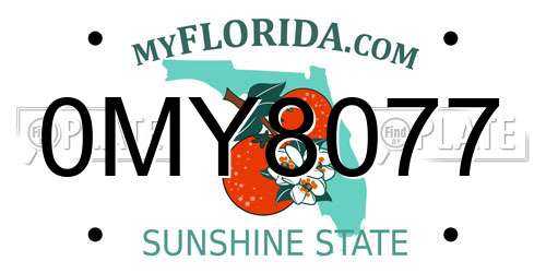 0MY8077 Florida License Plate
