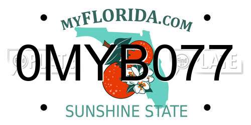 0MYB077 Florida License Plate