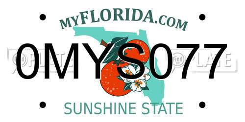 0MYS077 Florida License Plate