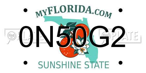 0N50G2 Florida License Plate