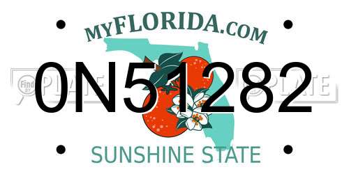 0N51282 Florida License Plate