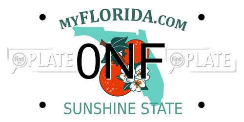 0NF Florida License Plate