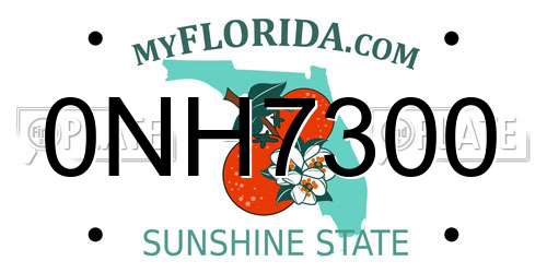 0NH7300 Florida License Plate
