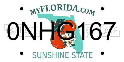 0NHG167 Florida License Plate