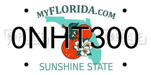 0NHT300 Florida License Plate
