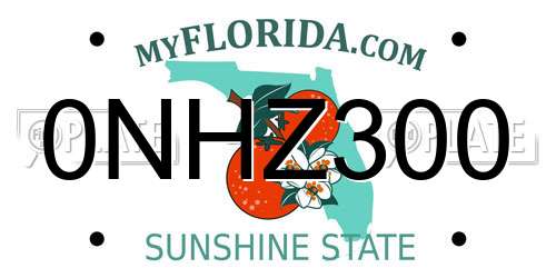 0NHZ300 Florida License Plate