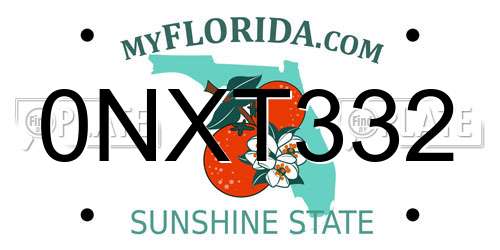 0NXT332 Florida License Plate