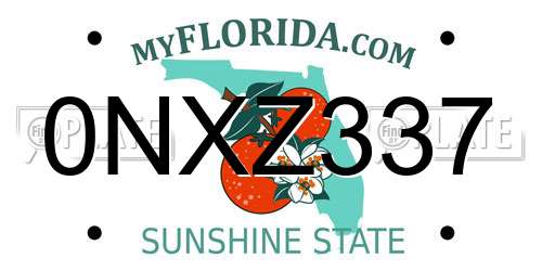 0NXZ337 Florida License Plate