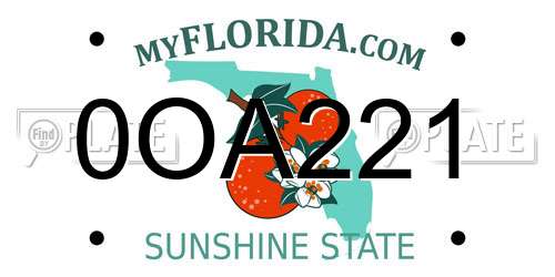 0OA221 Florida License Plate
