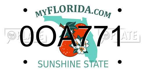 0OA771 Florida License Plate