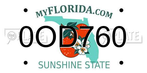 0OD760 Florida License Plate