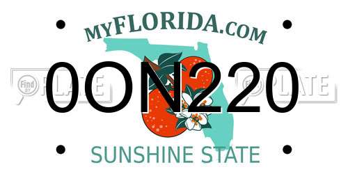0ON220 Florida License Plate