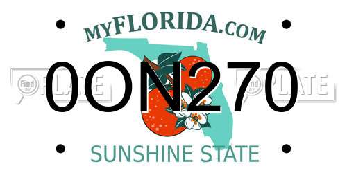 0ON270 Florida License Plate