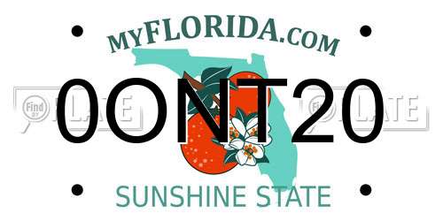 0ONT20 Florida License Plate