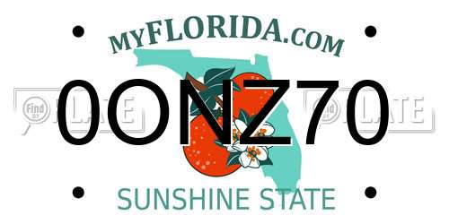 0ONZ70 Florida License Plate