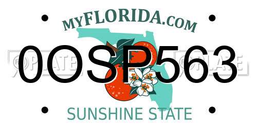 0OSP563 Florida License Plate