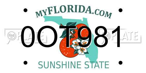 0OT981 Florida License Plate