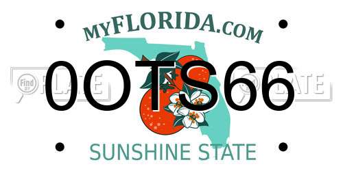 0OTS66 Florida License Plate