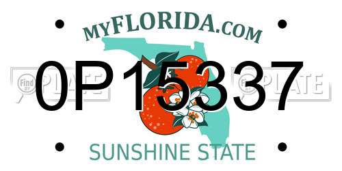 0P15337 Florida License Plate