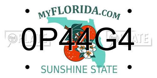 0P44G4 Florida License Plate