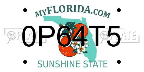 0P64T5 Florida License Plate