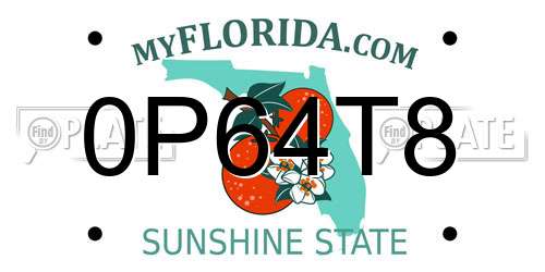 0P64T8 Florida License Plate