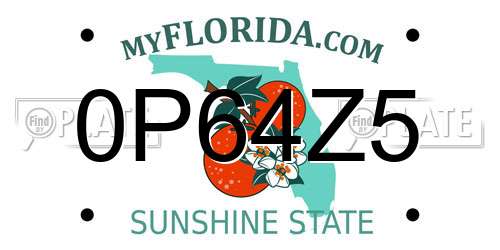 0P64Z5 Florida License Plate