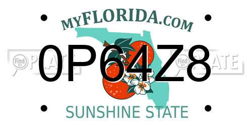 0P64Z8 Florida License Plate