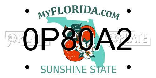 0P80A2 Florida License Plate