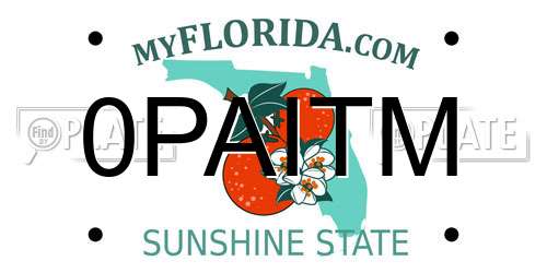 0PAITM Florida License Plate
