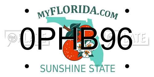 0PHB96 Florida License Plate