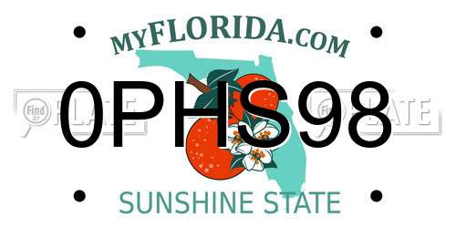 0PHS98 Florida License Plate