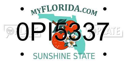 0PI5337 Florida License Plate