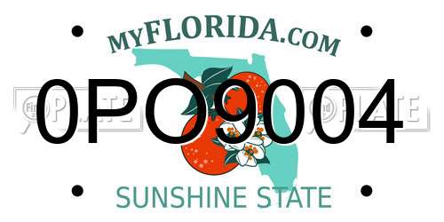 0PO9004 Florida License Plate