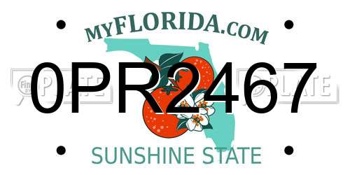 0PR2467 Florida License Plate