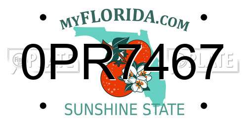 0PR7467 Florida License Plate