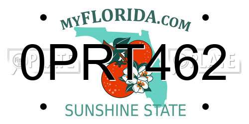 0PRT462 Florida License Plate