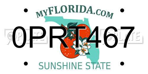 0PRT467 Florida License Plate
