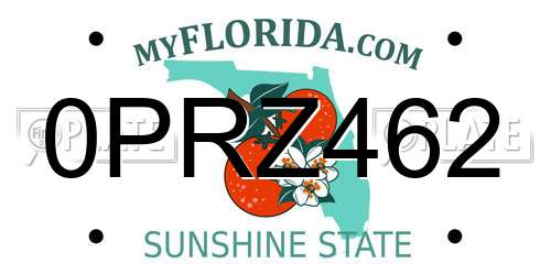 0PRZ462 Florida License Plate