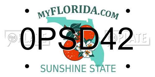 0PSD42 Florida License Plate
