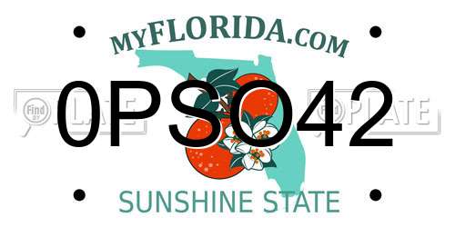 0PSO42 Florida License Plate