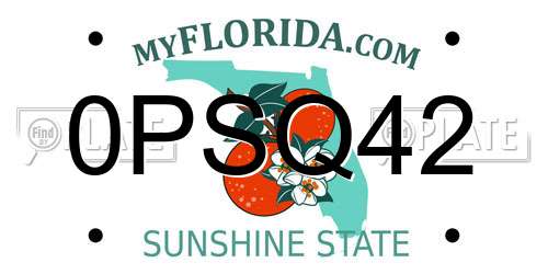 0PSQ42 Florida License Plate