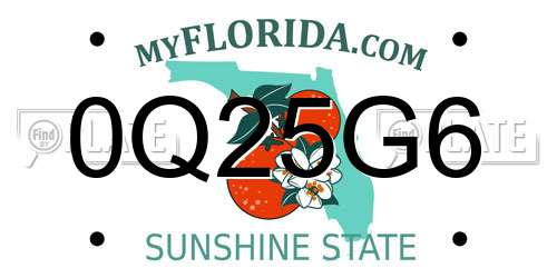 0Q25G6 Florida License Plate