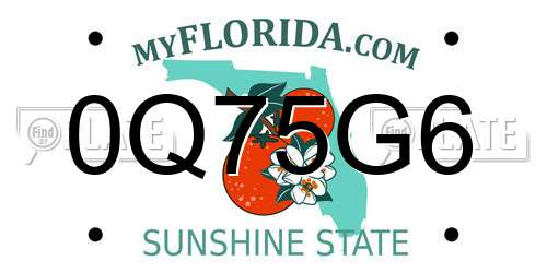 0Q75G6 Florida License Plate